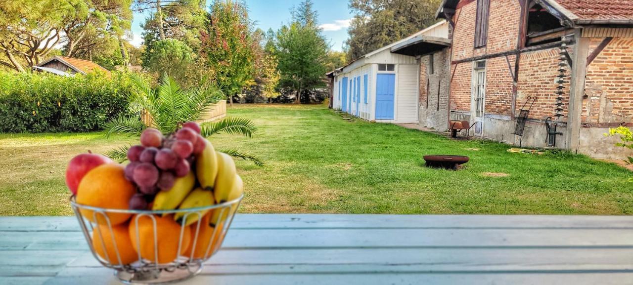 Charmante Maison Dans Les Landes X 10 Avec Piscine Et Salle D Escalade Lue Extérieur photo
