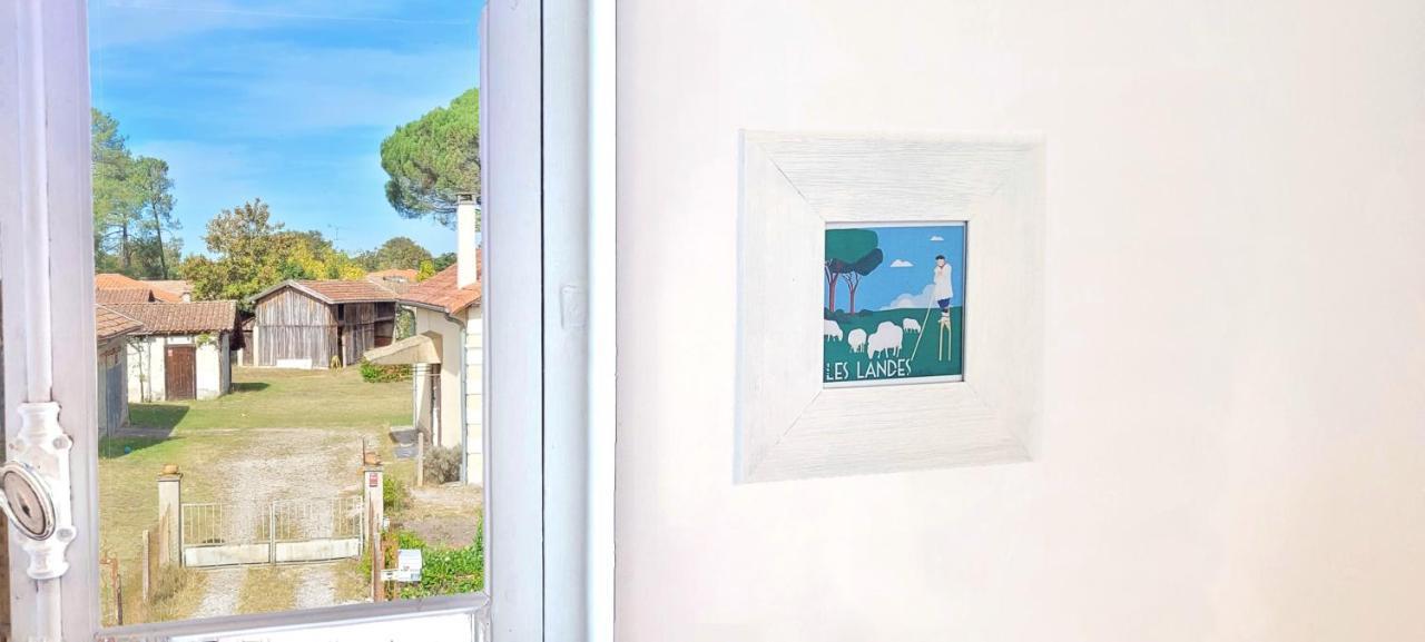 Charmante Maison Dans Les Landes X 10 Avec Piscine Et Salle D Escalade Lue Extérieur photo